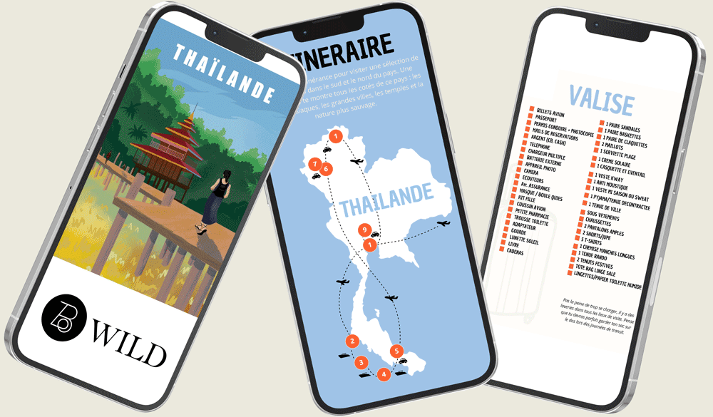 Les Trip books de B.Wild - Chloé Lobet