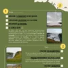 B.Wild - Trip Book - Islande étape